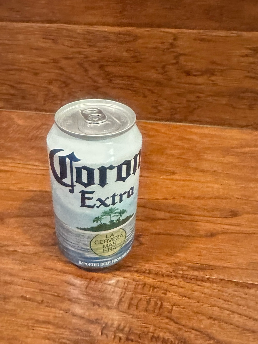 Corona Extra White & Blue Stash Can with Palm Logo